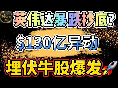 美股投资｜恐怖!英伟达NVDA资金异动130亿暴跌抄底?苹果AAPL资金流入?埋伏个股暴涨.OXY盈利100% SPY QQQ TSLA GOOGL｜美股趋势分析｜美股期权交易｜美股赚钱｜美股2024