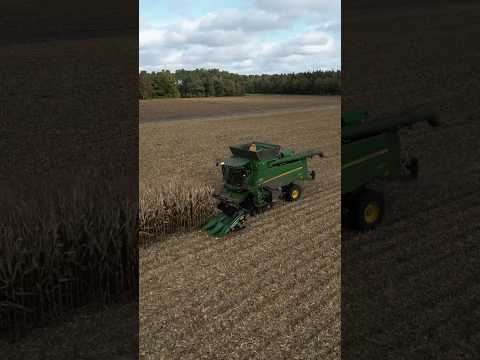 Mais für CCM Dreschen 🌽 #agriculture #farming #landwirtschaft #2023 #mais #viral #johndeere #fendt