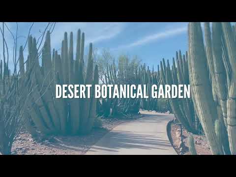 Venue highlight: Desert Botanical Garden