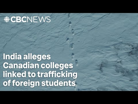 India alleges Canadian colleges linked to trafficking of foreign students