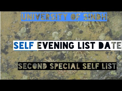 SELF EVENING LIST// SECOND SPECIAL SELF LIST