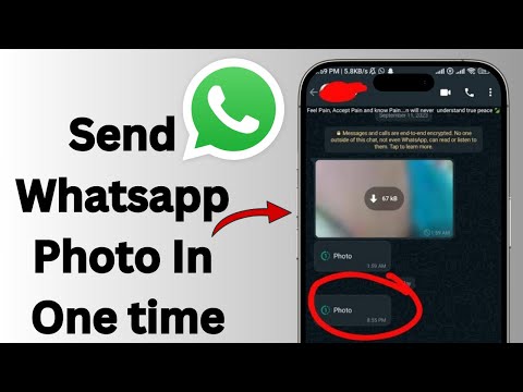 Send WhatsApp Photo In Once For Android/IOS | Full Guide