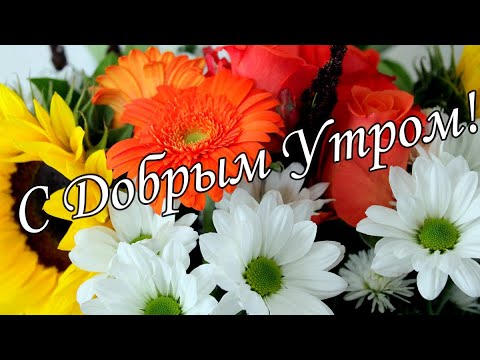 С ДОБРЫМ УТРОМ !🌼Желаю Самого Доброго Солнечного Утра!🌼  Шикарная Музыкальная открытка 🌼