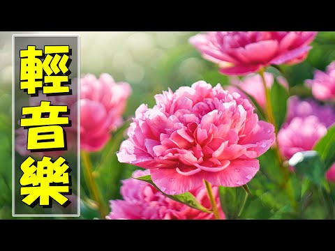 【薩克斯風 睡眠】🎷30首 薩克斯風 輕音樂 放鬆解壓 🌺 夜晚最適合聽的 轻音乐 放松🎵 累了煩了就聽聽 醉人醉心！ 無廣告音樂  Relaxing Chinese Saxaphone Music