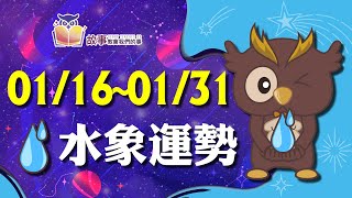 水象星座 本週運勢 | 雙魚座 巨蟹座 天蠍座 | 01/16-01/31  誰財運指數最高 誰運氣最好 快看花花報報  @故事教會我們的事  #shorts