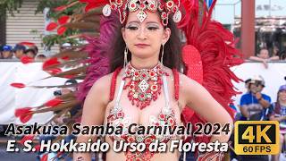 第39回 浅草サンバカーニバル 2024 ①【Escola de Samba Hokkaido Urso da Floresta ウルソ・ダ・フロレスタ】