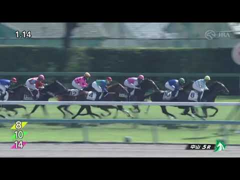 2022/10/02　セブンマジシャン　新馬戦