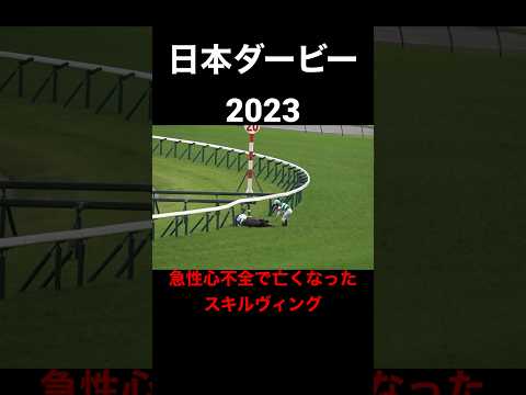 競馬　【悲報】日本ダービースキルヴィングの最後の姿・・