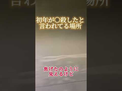 【心霊スポット】心霊トンネルで女性の霊の声がした・富山県心霊スポット・白倉トンネル #心霊動画 #女性心霊youtuber #心霊 #心霊youtuber #幽霊