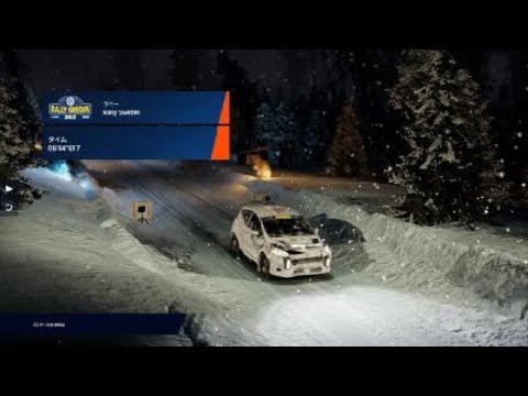 WRC Generations – The FIA WRC Official Game_20241126092830