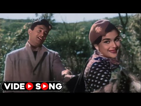 Dev Anand और Asha Parekh ये रोमांटिक गाना आपको आपके प्यार की याद दिला देगा | Lata Mangeshakar Song