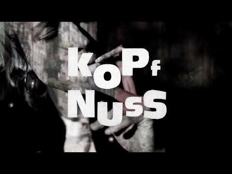 Vizediktator - Kopfnuss (official)