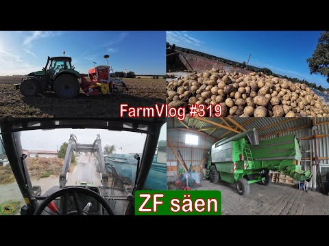 Farmvlog #319: Topliner Einwintern | Zwischenfrucht säen