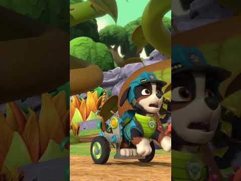 Rex and Paw Patrol rescue a baby Dinosaur! #pawpatrol #shorts