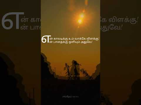 இதை சொன்னவர் யார்? இன்றைய மன்னா.. Bible verse for the day! #bibleversetodayintamil #bibleverse