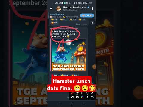 hamster lunch date confirm l#hamstercombat #hamsterlunchdate#shorts