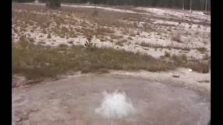 Lion Geyser, Iron Conch Geyser, and a distant view of Union Geyser's cones, August 4, 1993