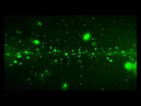 Breathe Easy: 4K Green Particles VJ Loop || vj loop 4k || green particles || vj loop 2025 || #green