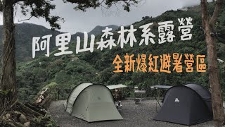 露營VLOG | 阿里山最新爆紅露營區｜高海拔森林系｜沐玥星空露營區｜自由之魂｜雲途｜