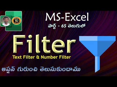 Filter Option in Telugu || MS EXCEL || By K. Ramesh