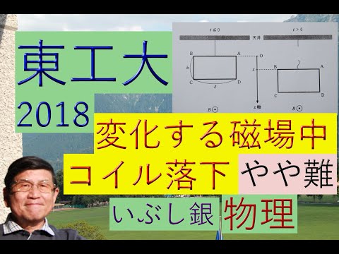 【変化する磁場中をコイル（自己インダクタンスあり）が落下】（東工大）2018