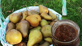 [cc] 梨酱，自己动手做梨酱|How to Make Pear Jam, Home Made Pear Jam | 好吃又放心