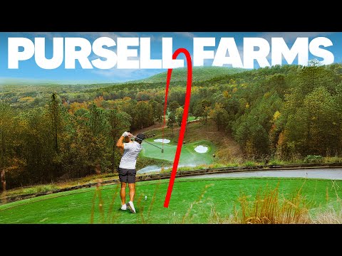 The Most Famous Golf Course on YouTube | Pursell Farms