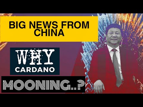 Why ADA ( Cardano ) MOONING..? Big Crypto News From China | Hindi