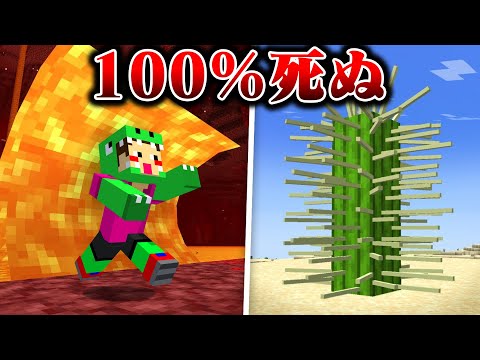 生きたいのに100%絶対死ぬ世界でサバイバル！？【まいくら・マインクラフト】