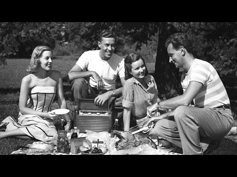 you're having a picnic in the park during a summer day in the 1950s [re-upload]