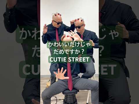 右左正面ツルピカなんです。【かわいいだけじゃだめですか？】 #cutiestreet