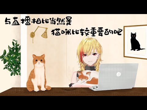 與直播相比當然是貓咪比較重要的吧 !【96猫】【切り抜き + 中文翻譯】