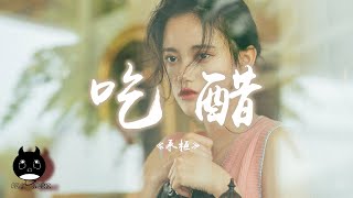 承桓 - 吃醋『你偷走我的全部，還裝的那麼無辜。』【動態歌詞 | Pinyin Lyrics】【PENGUIN MUSIC】