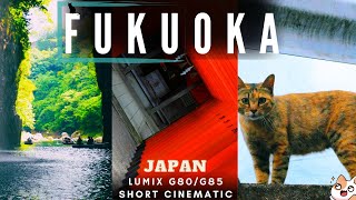 Fukuoka Japan: Exploring Kumamoto and Takachiho Gorge Waterfall | Cinematic | Lumix G80/G85