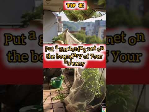 Get Rid of Pigeons from Balcony #pigeon #shorts #youtubeshorts #trending #howto #ytshorts #short