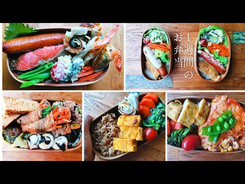 How I packed daily Bento boxes for 9-year-old-boy and me(single mom) #12 | １週間のお弁当 | 詰め方動画