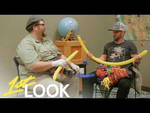 Johnny Bananas Meets a New Type of Party Animal: A Balloon Artist | 1st Look TV