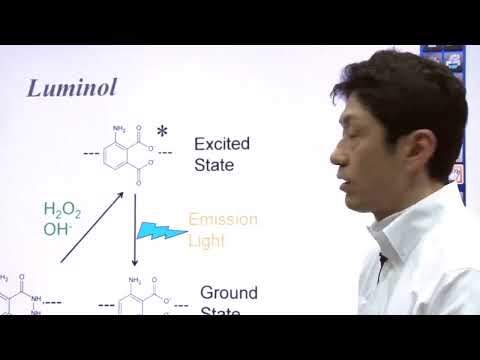 Unit 9 Part 6   Luciferase