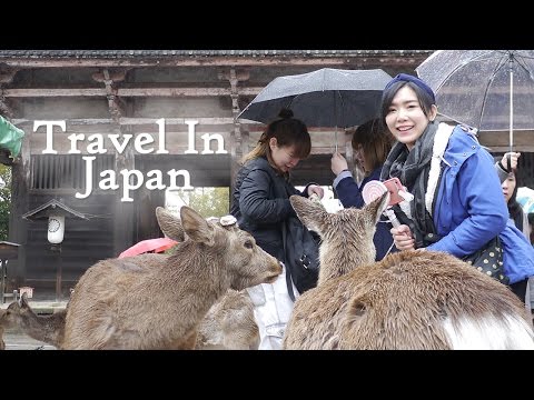 京阪神自由行►神戶、奈良、京都 玩什麼？