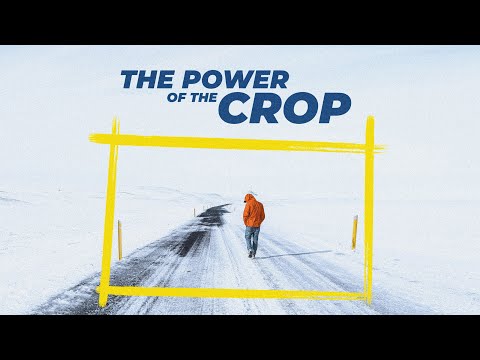 THE POWER OF THE CROP