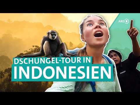 Backpacking in Indonesien: Dschungel-Tour auf Sumatra | Young Adventurers | ARD Reisen