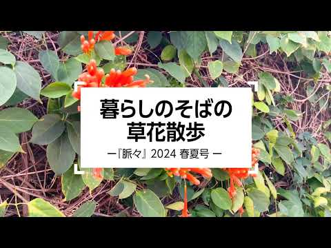 暮らしのそばの草花散歩 |『脈々』2024 春夏号