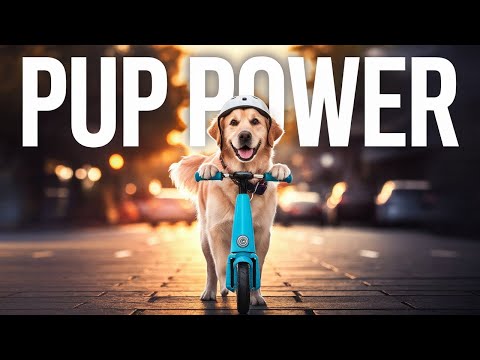 This Dog Riding a Bike is Unbelievable