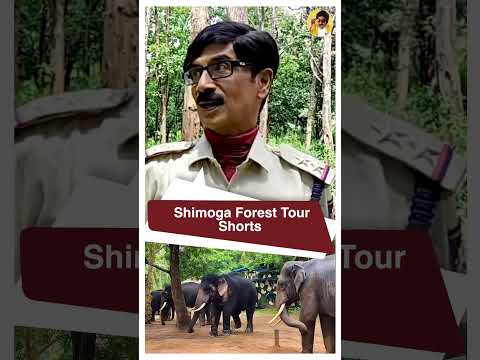 Manobala Exploring  Elephant Camp in Shimoga Forest | Telugu movie shooting | Wastepaper #shorts