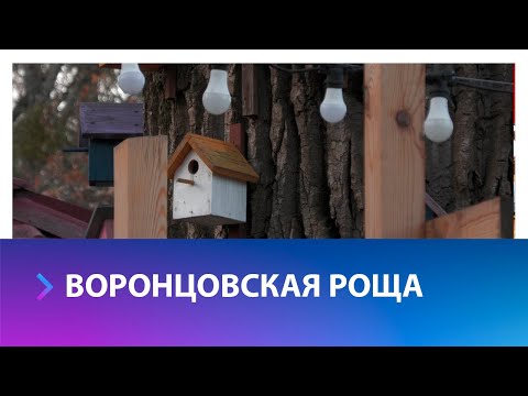 Центральный парк - бывшая Воронцовская роща, как это было?