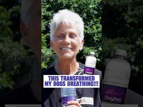 Improved Breathing For Dogs | Charlene AA Dog Rescue