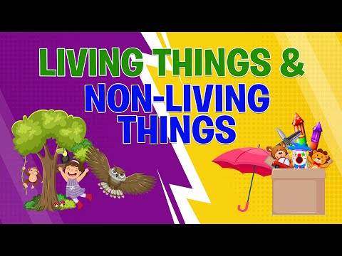 Living Things and Non-Living Things | Biology for Kids | Science Lesson | Educational Video