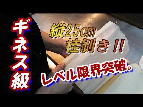 【桂剝き】縦25㎝に挑戦！難易度壊滅級！