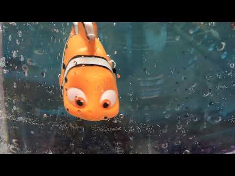 Finding Dory: Swimming Nemo Robo Fish