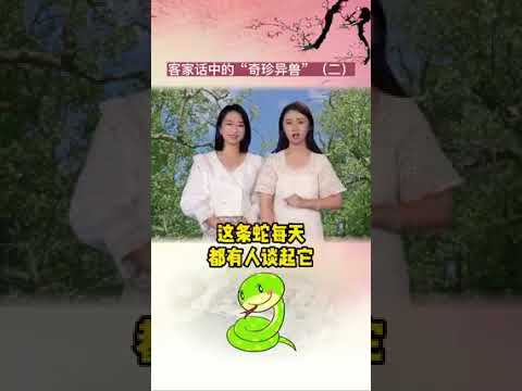 514 客家话中的”奇珍异兽” (梅县客家话) Hakka "Rare and Exotic Animals" (Meixian Hakka)